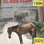 Burrobomba, hecho que marcó la historia de Sucre, se registró nuevamente en Colombia