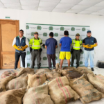 Incautan 469 icoteas en Sucre