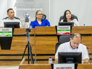 Asamblea departamental preocupada por la salud, y Concejo de Sincelejo preocupado por la  seguridad