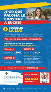 «Bajar en un 50% la factura de la luz»: propuesta de Paloma Valencia